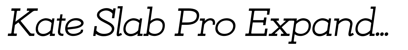 Kate Slab Pro Expanded 500 Medium Italic